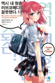 역시 내 청춘 러브코메디는 잘못됐다 11